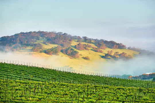 Self-Guided Driving Audio Tour of Sonoma and Napa Valley