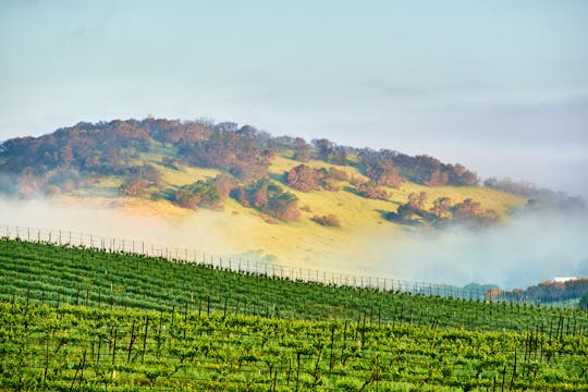 Passeio de carro autoguiado com áudio por Sonoma e Napa Valley