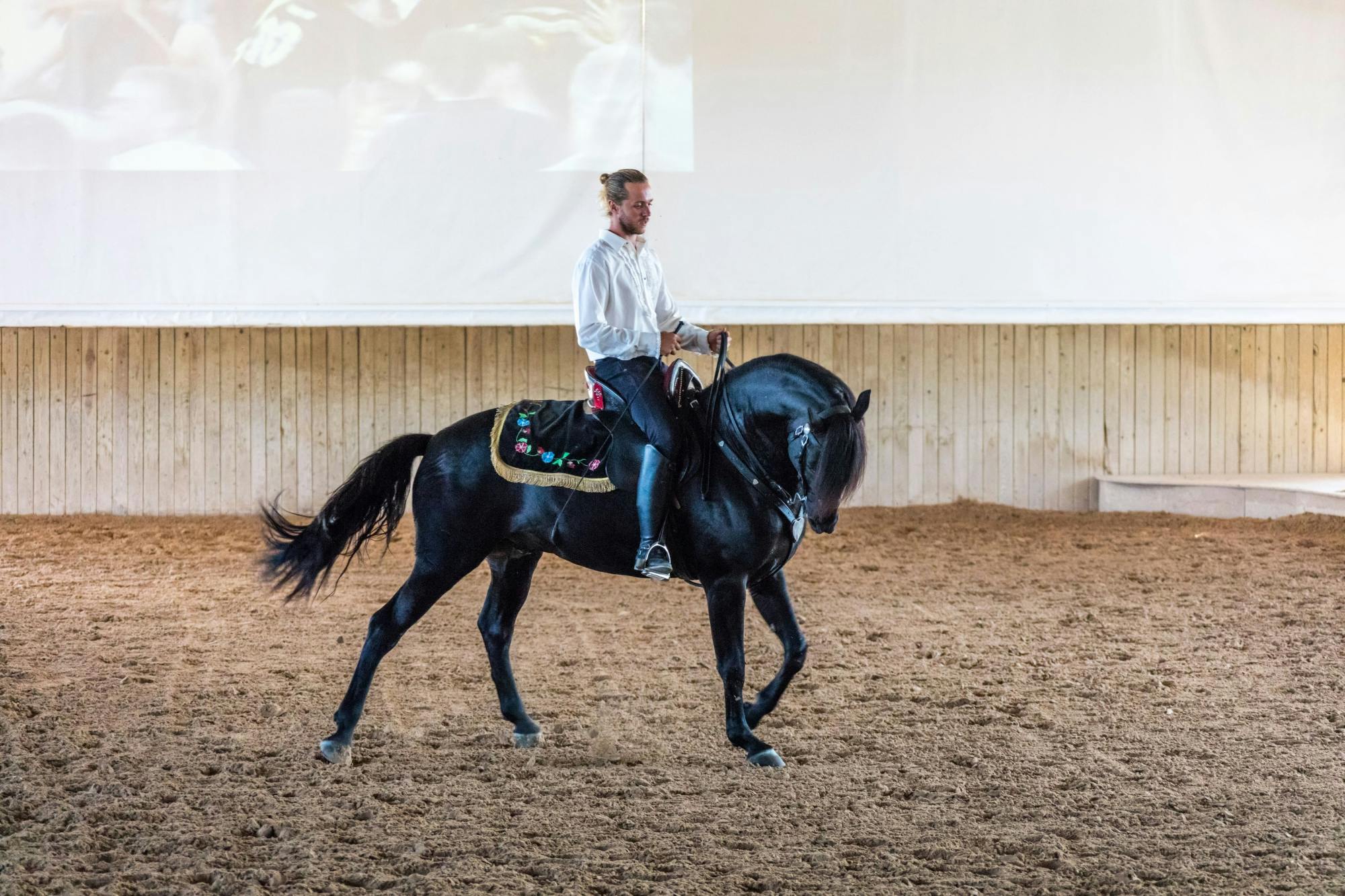 Fuerteventura Agricultural Fair Special Event – 6th April 2025