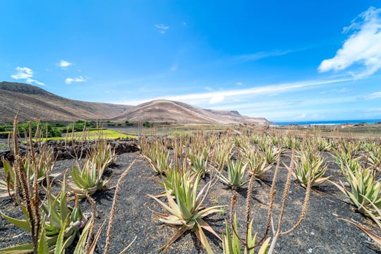 Visite de Lanzarote avec le Parc national de Timanfaya et un vignoble