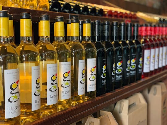 Visita guidata con degustazione di vini in tre vigneti di Lanzarote