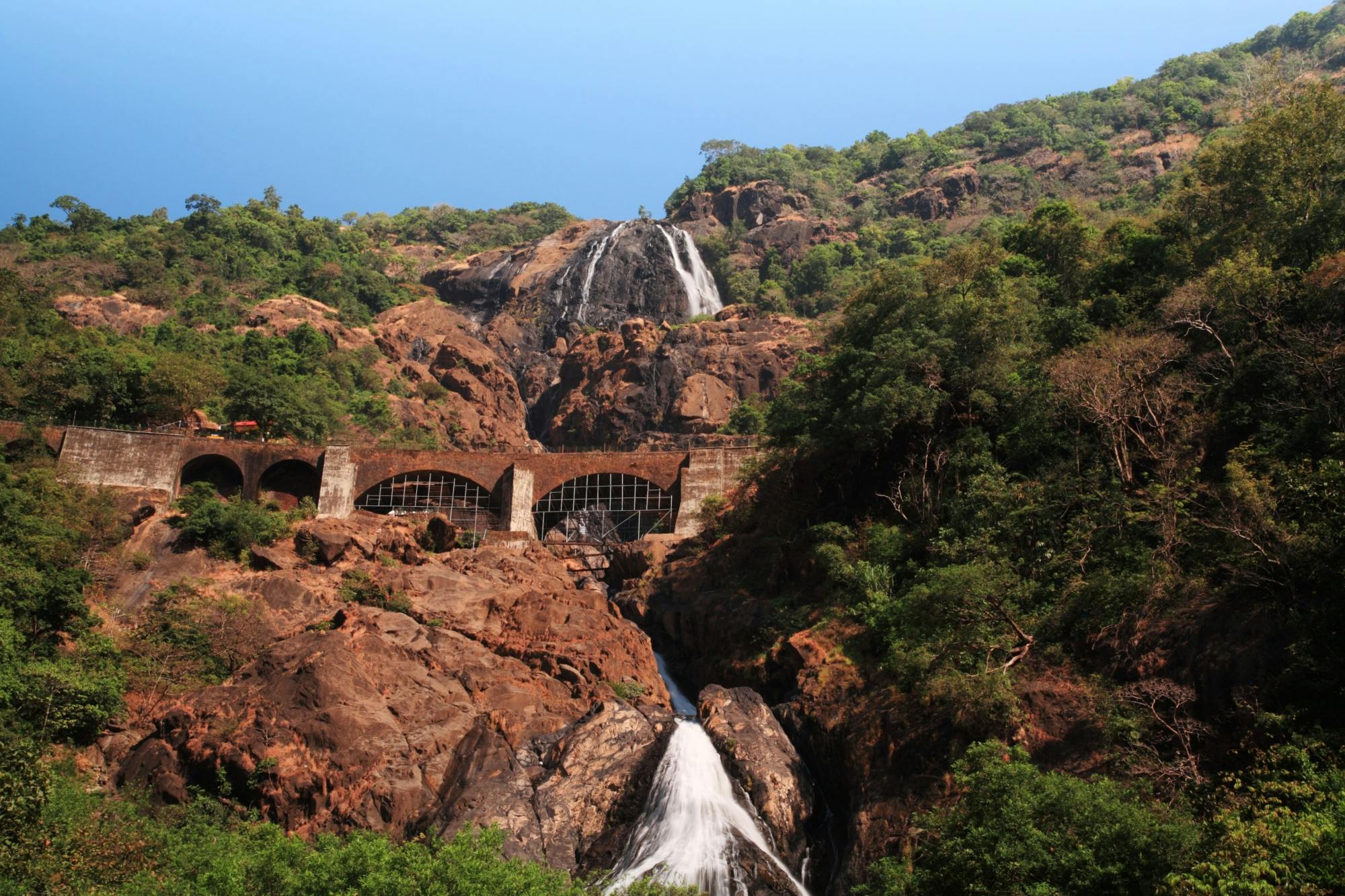 Dudhsagar Waterfall Tour with Spice Garden and Lunch