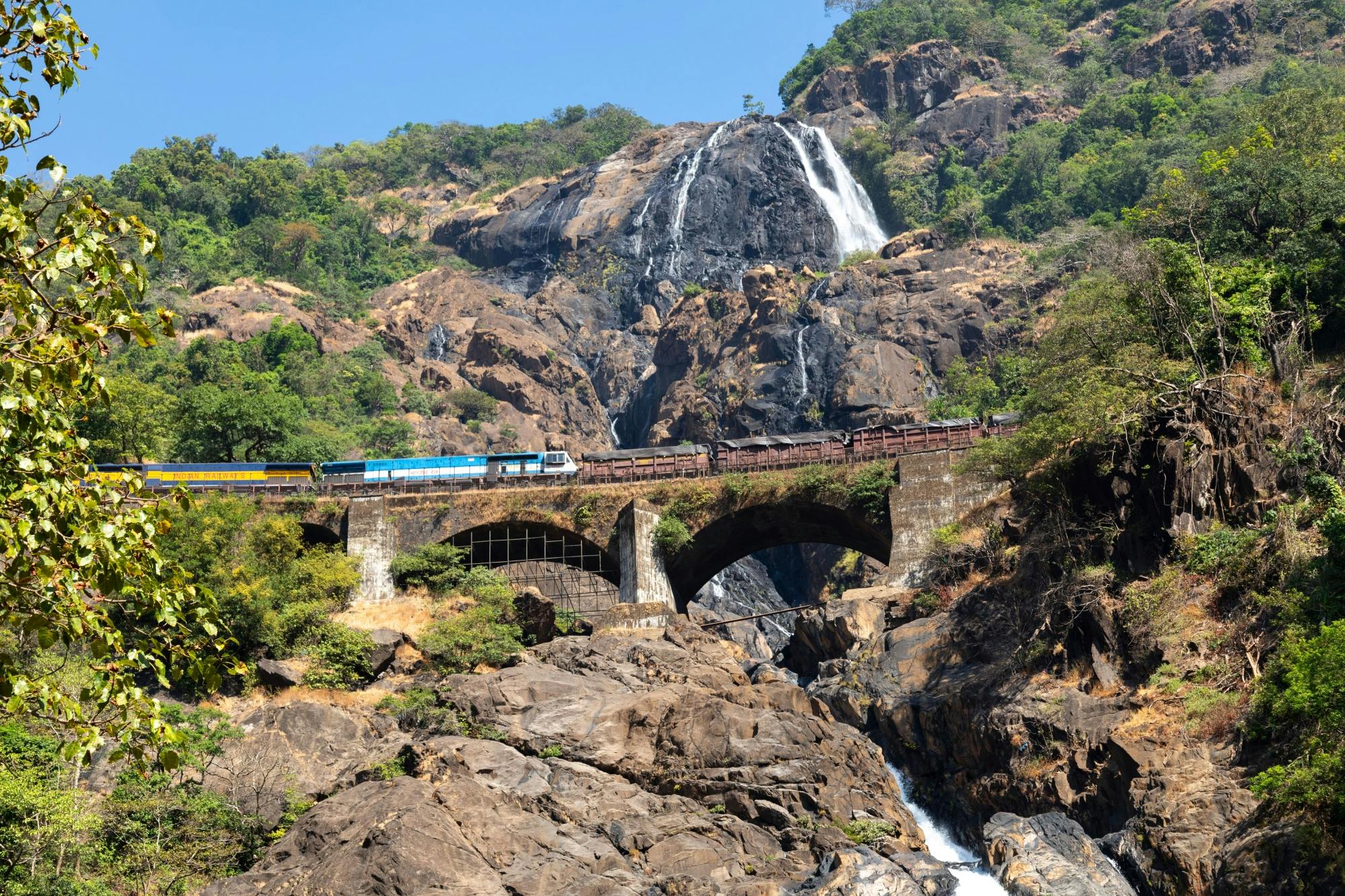 Dudhsagar Waterval Tour met Kruidentuin en Lunch