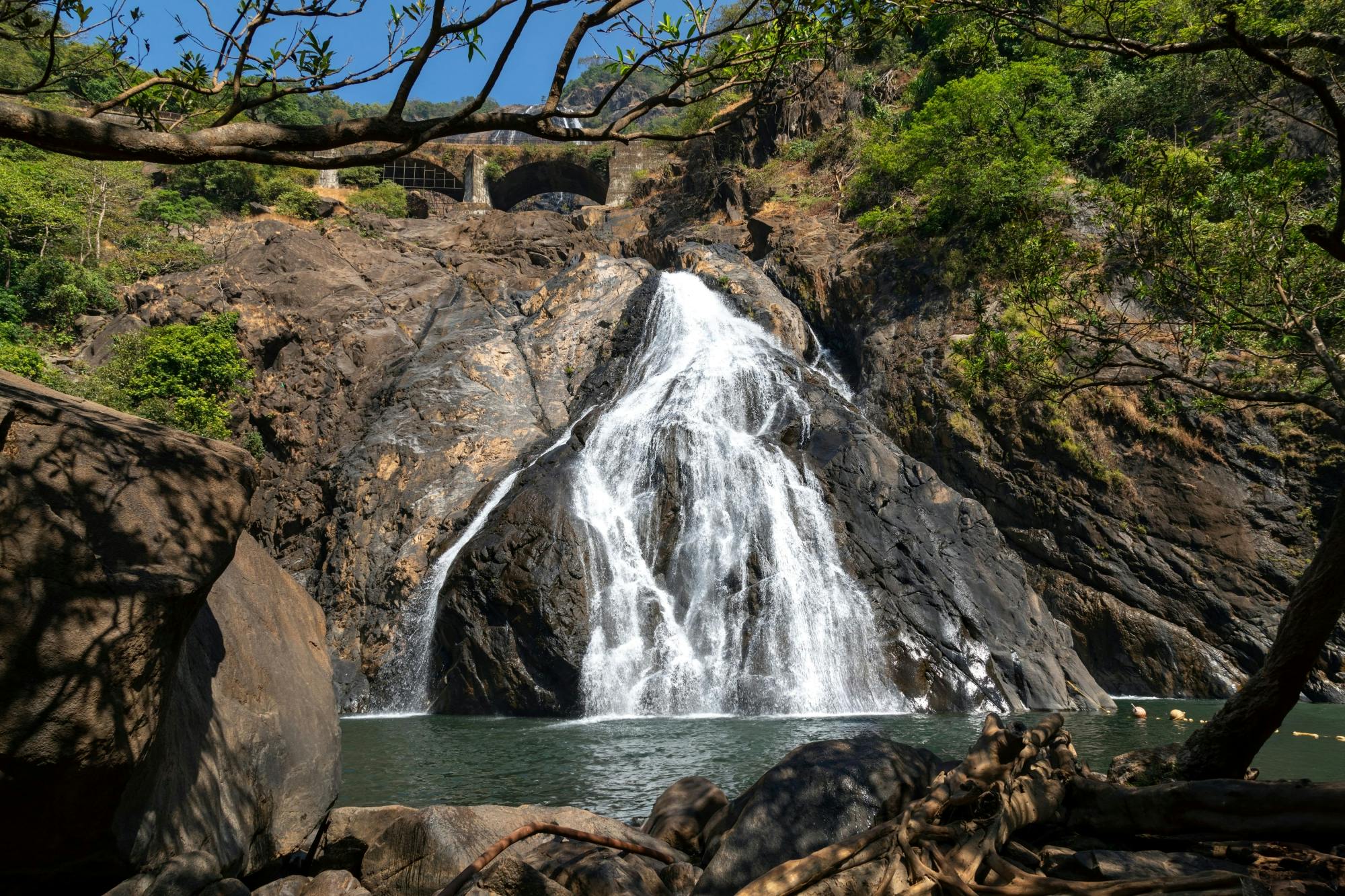 Dudhsagar Waterfall Tour with Spice Garden and Lunch