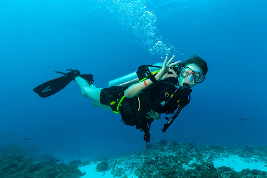 Half-Day Diving in the Gulf of Angels from Cagliari