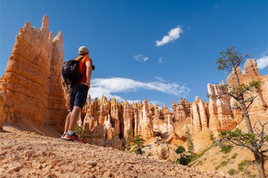 Circuit de 2 jours au parc national de Zion et de Bryce avec hébergement