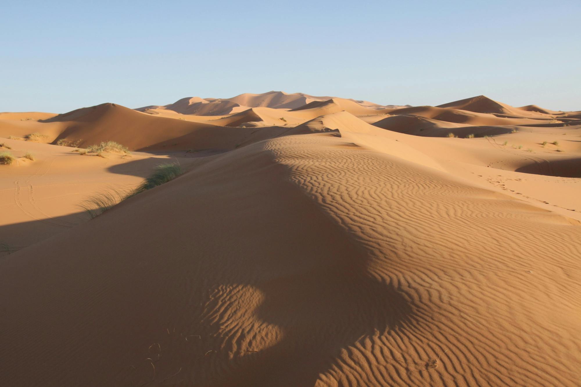 Excursão de meio dia às Dunas de Areia do Saara saindo de Agadir