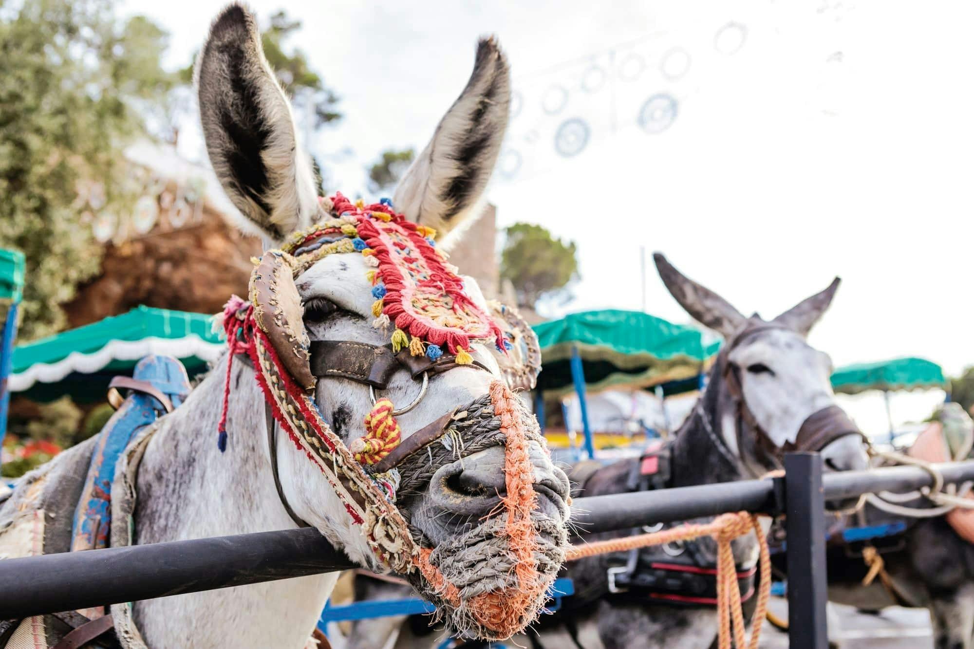 Malaga Old Town and Mijas Mountain Village Tour