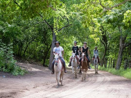 Guanacaste paardrij avontuur