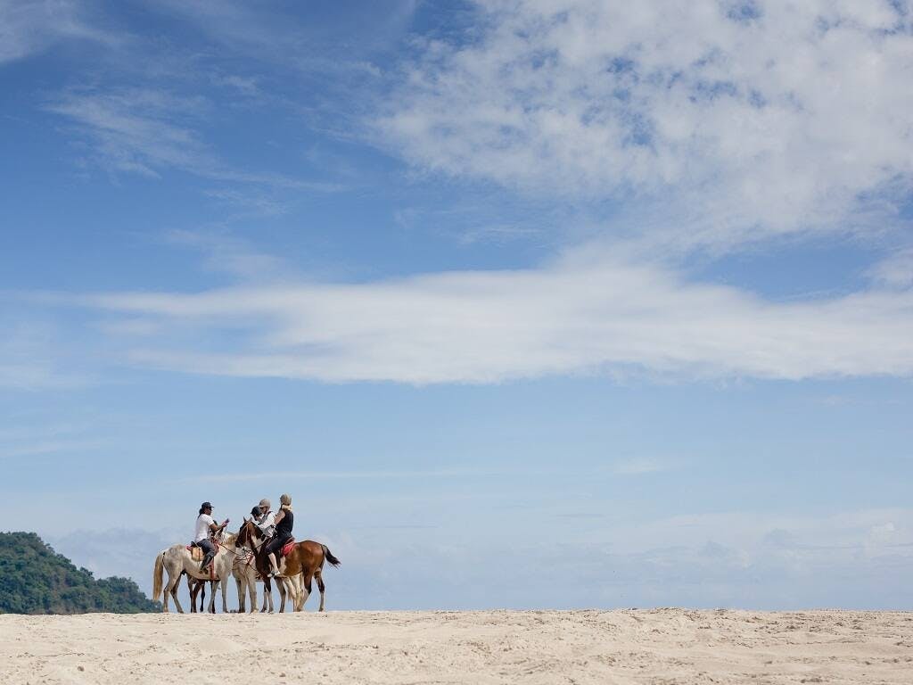 Guanacaste horse-riding adventure