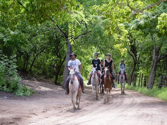 Aventure équestre à Guanacaste