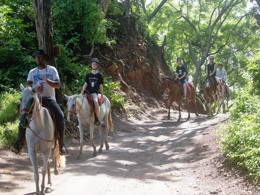 Guanacaste horse-riding adventure