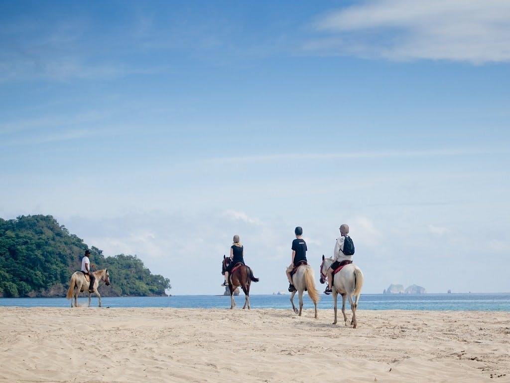 Guanacaste horse-riding adventure