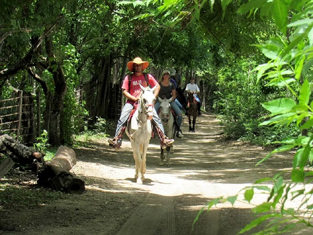 Guanacaste horse-riding adventure