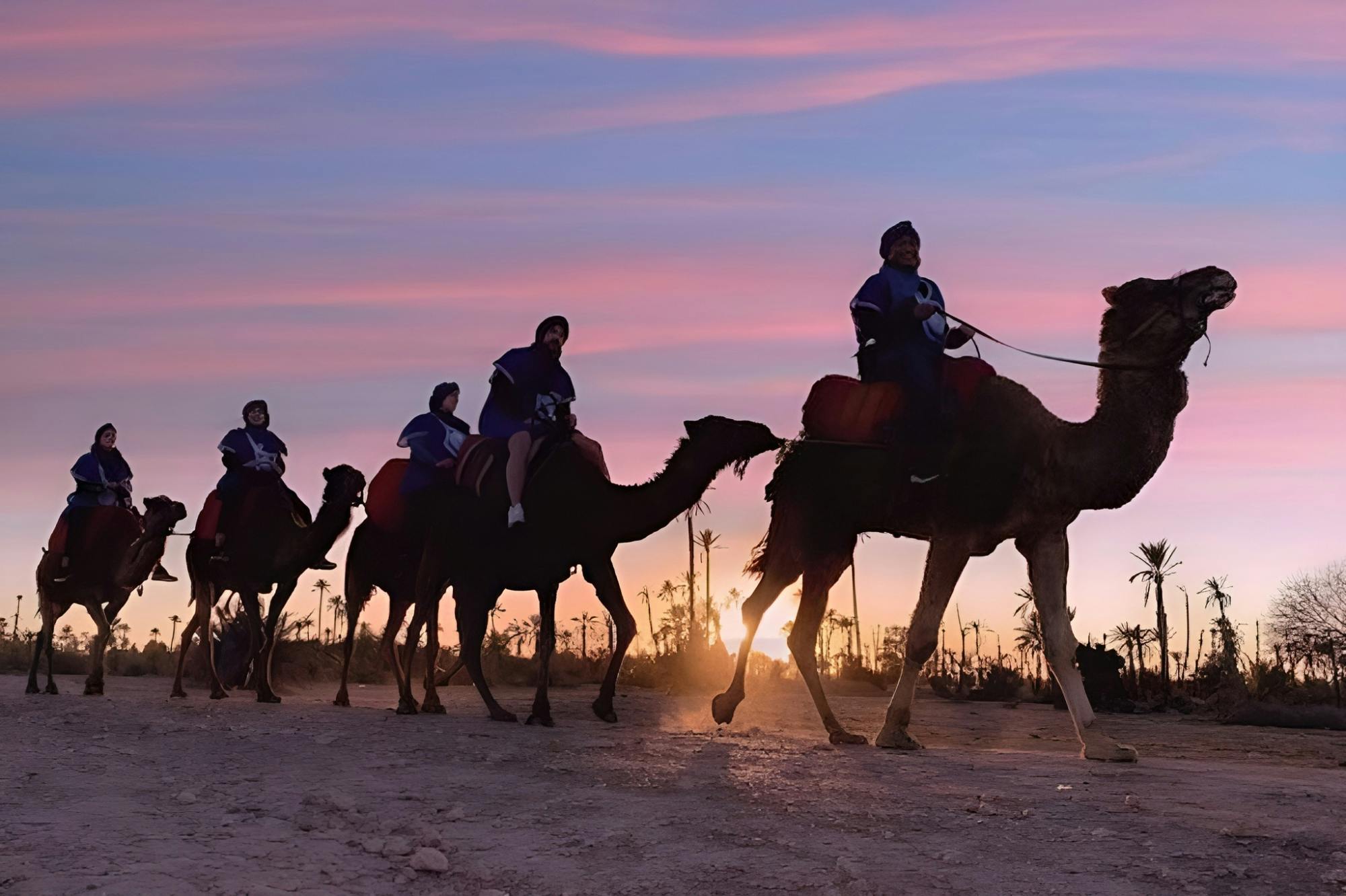 Passeio de camelo de duas horas e exploração da vida selvagem em Agadir