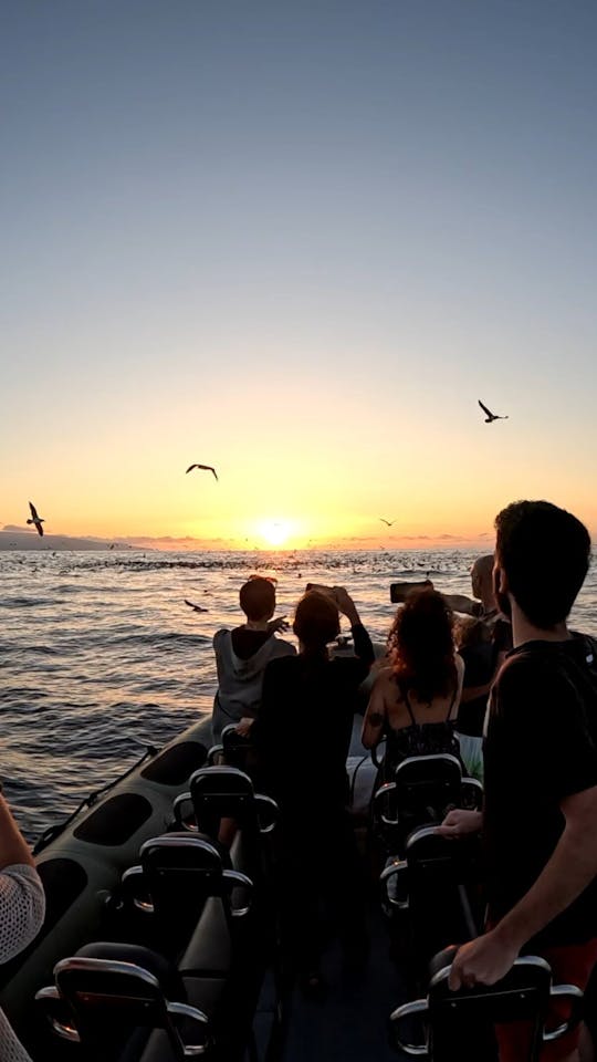 Recorrido en barco dorado por el cabo Cintrao