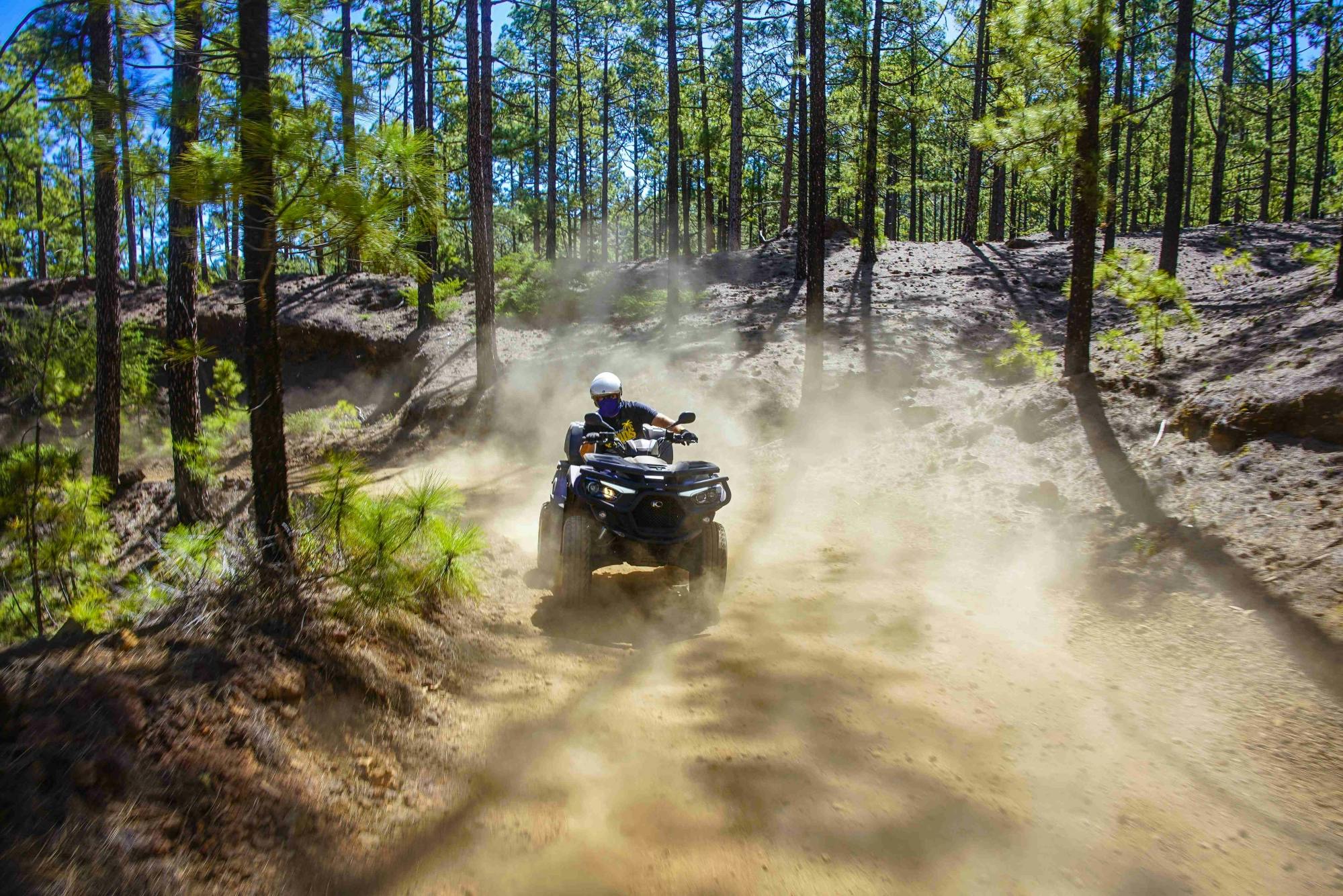 Mount Teide Forest Off-Road Quad Bike Tour