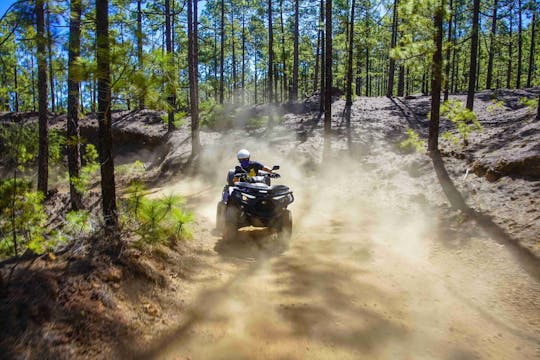 Recorrido en quad por el bosque del Teide