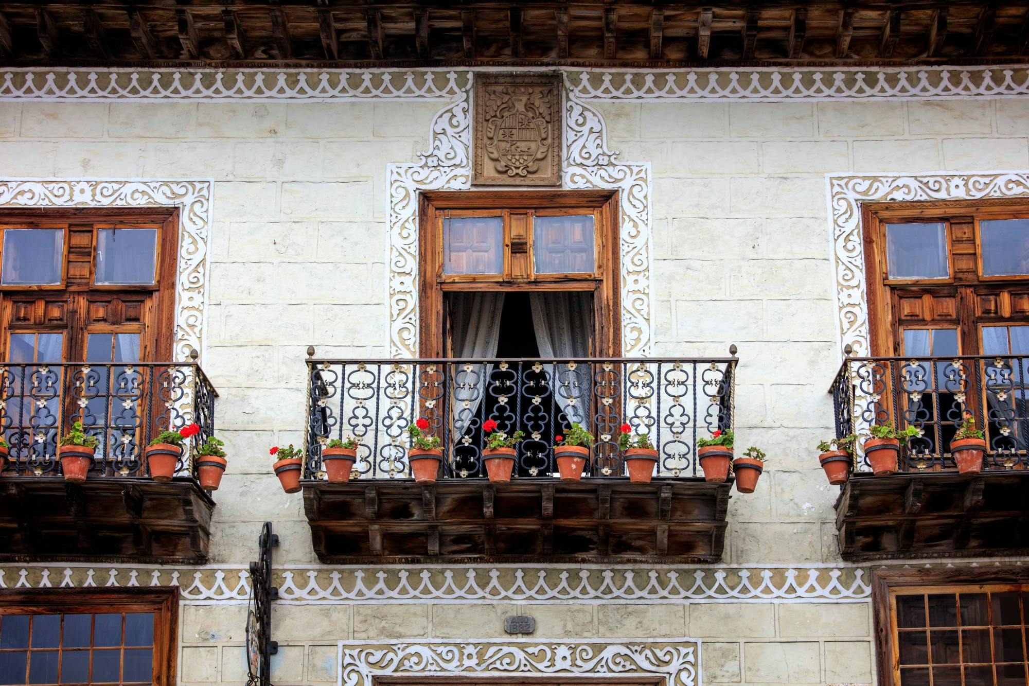 North Tenerife Guided Tour with Local Lunch