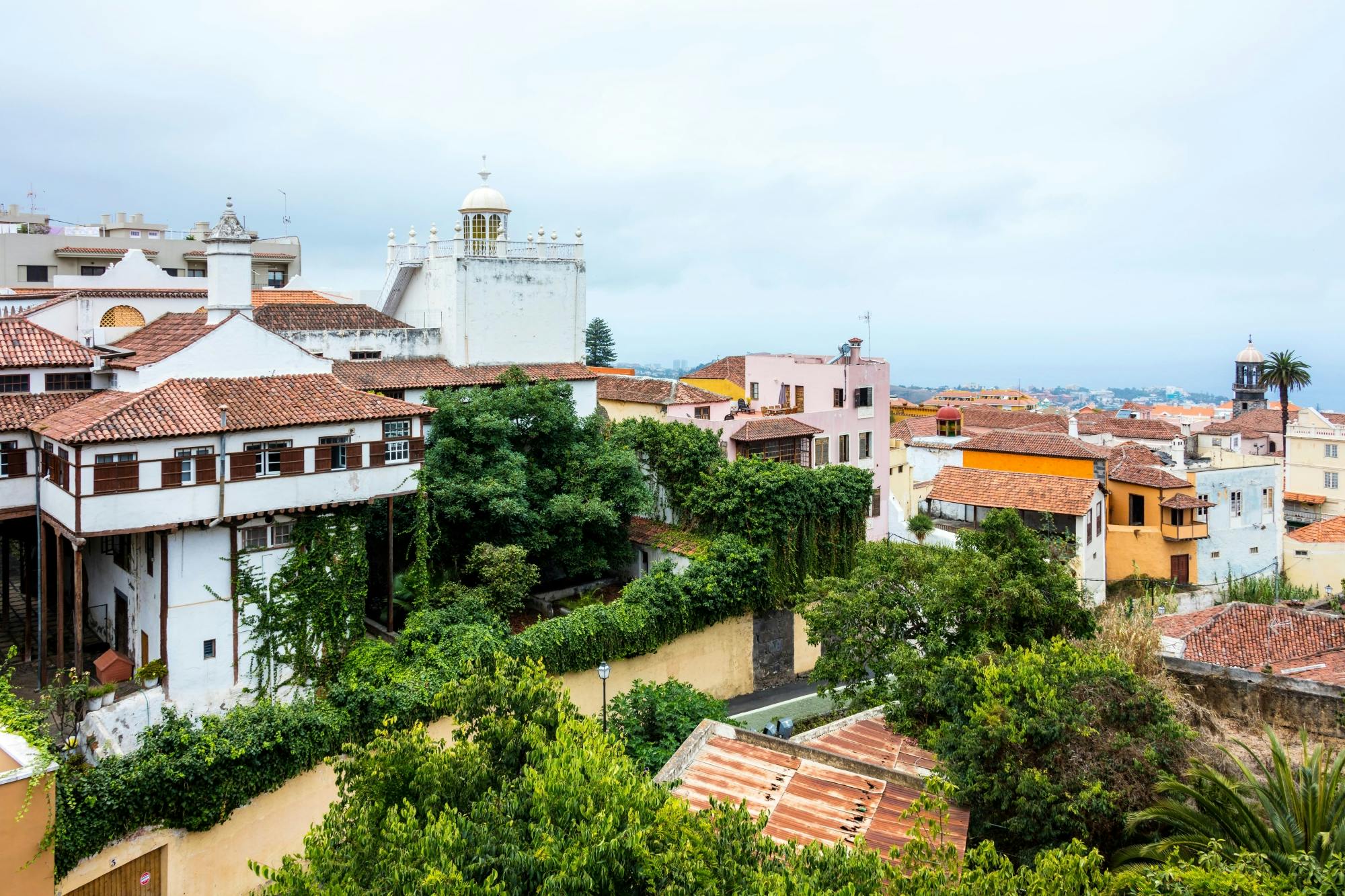 North Tenerife Guided Tour with Local Lunch