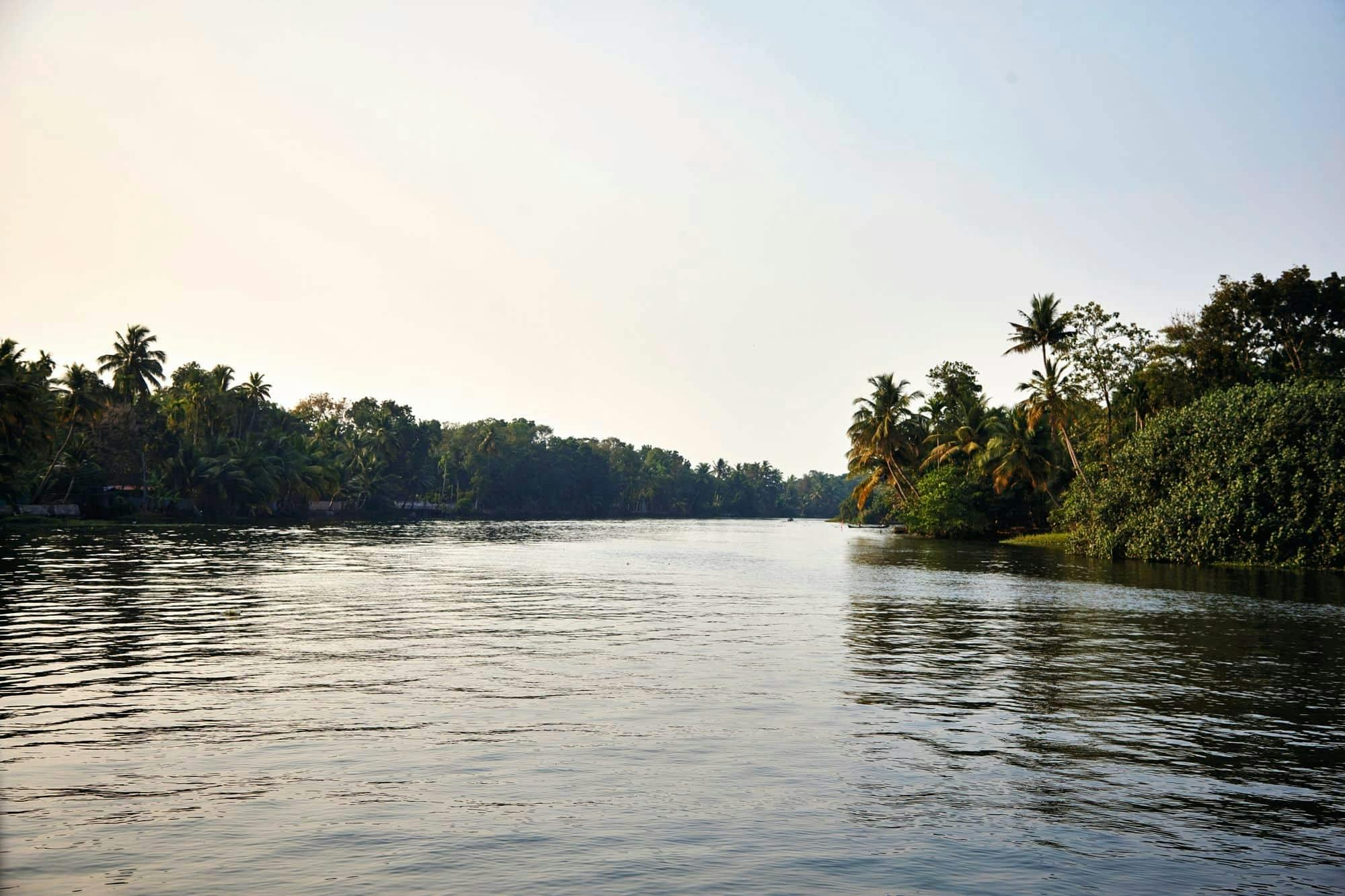 Excursion en kayak dans les backwaters de Goa