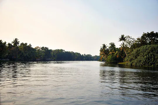 Passeio de caiaque em Goa Sal Backwaters