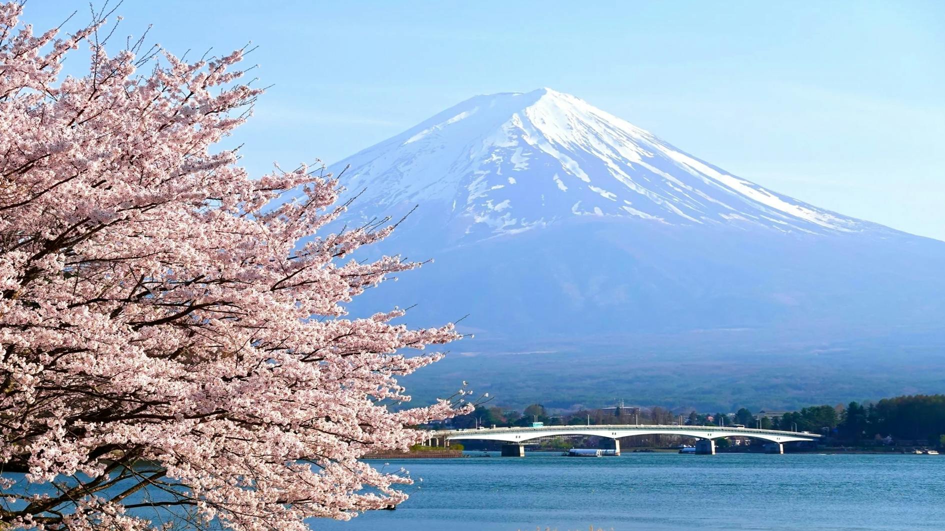 Day Trip to Mount Fuji with Scenic Photo Opportunities from Tokyo