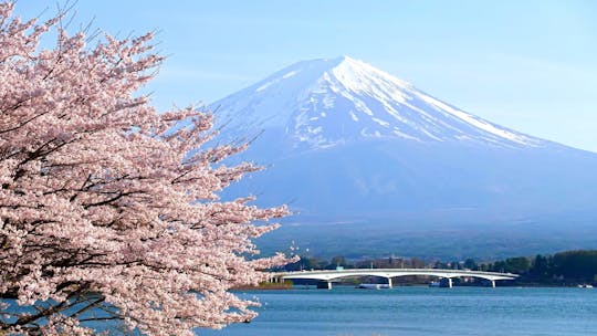 Day Trip to Mount Fuji with Scenic Photo Opportunities from Tokyo