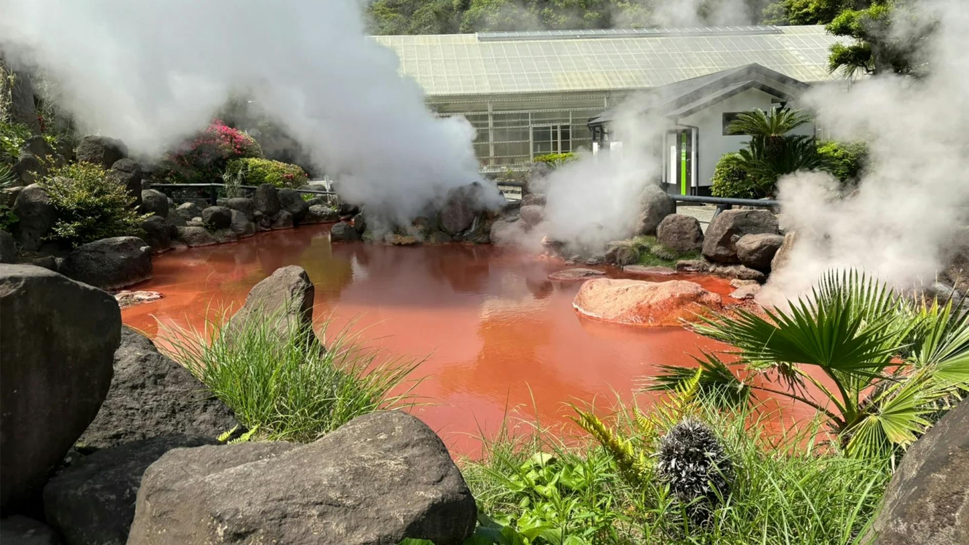 Fukuoka Nyoirinji Temple, Beppu Hells and Yufuin Guided Tour