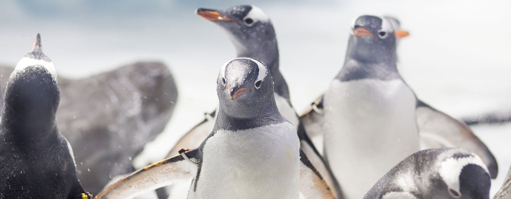 SEA LIFE Konstanz Tickets