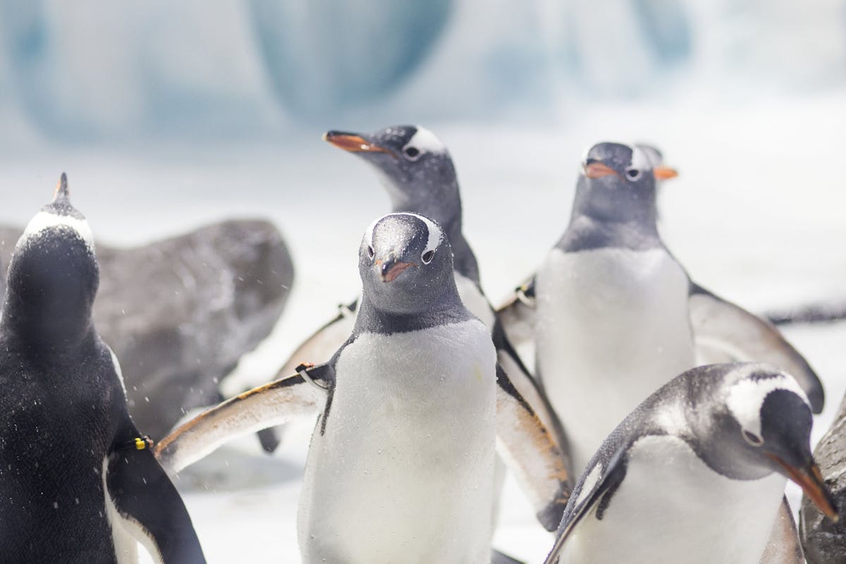 SEA LIFE Konstanz Tickets