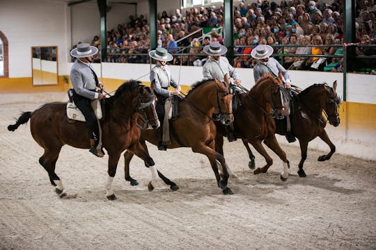 Show de cavalos andaluzes e flamenco com jantar em Málaga