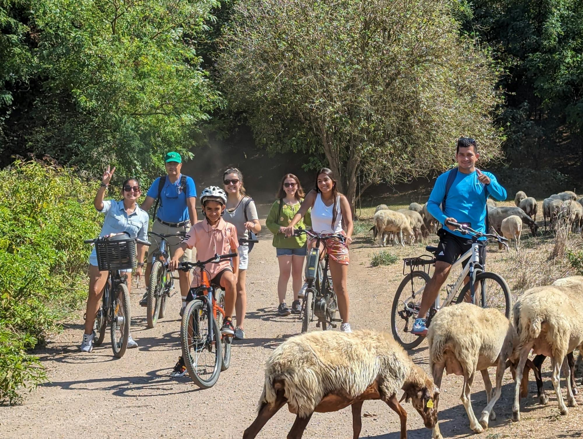 Appian Way and Catacombs E-Bike Private Tour with Transfer