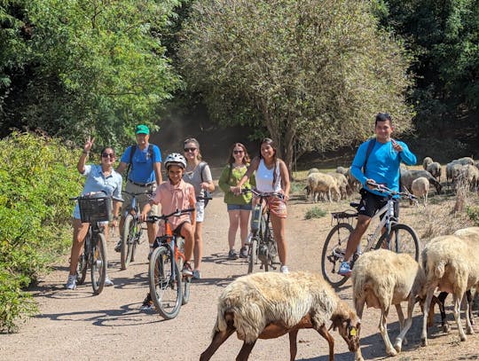 Passeio Privado de E-Bike pela Via Ápia e Catacumbas com Traslado