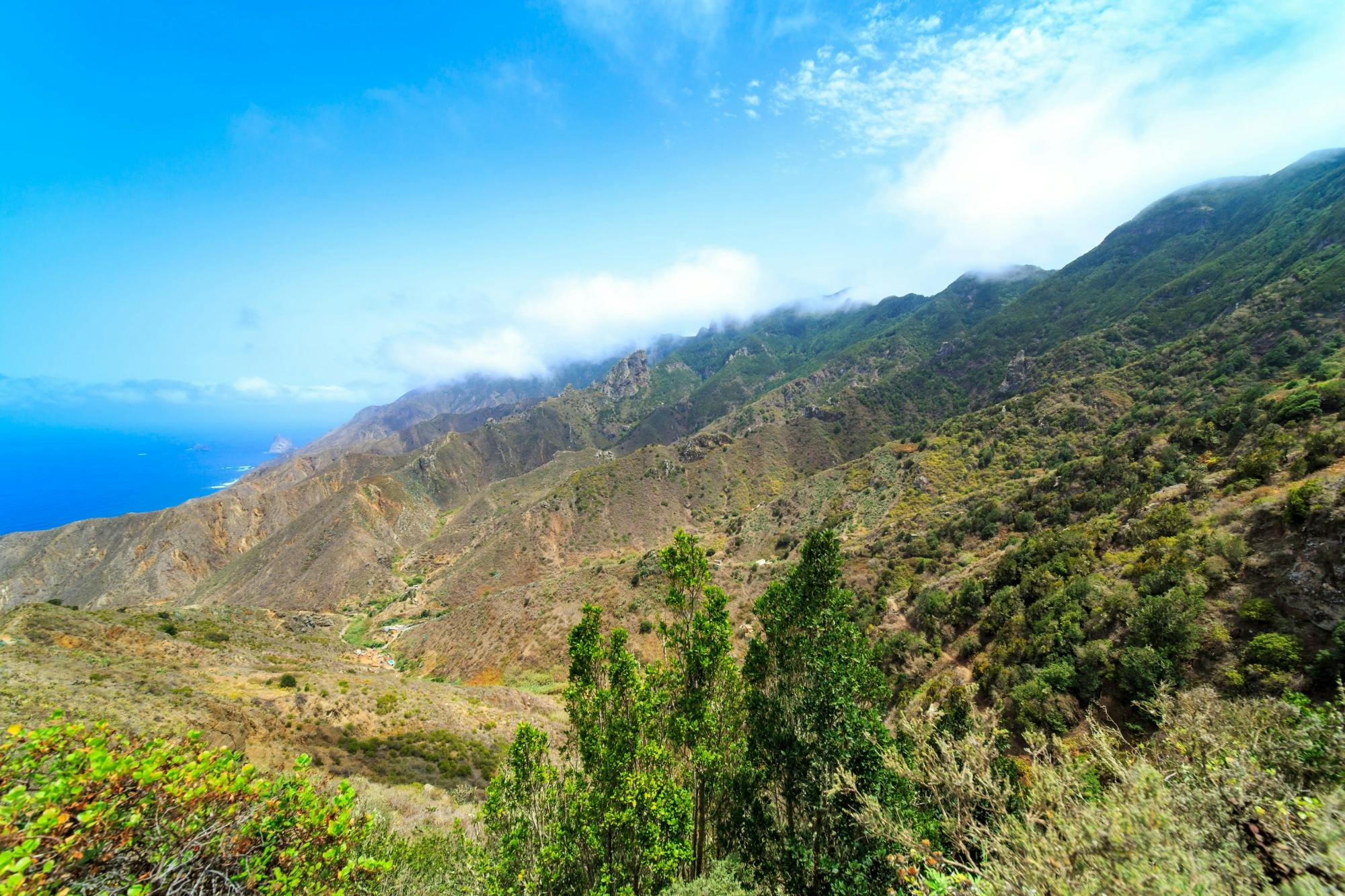 Tenerife Tour with Anaga Mountains and La Laguna