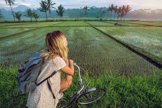 Tour en bicicleta eléctrica por la campiña de Ubud con Green Bikes