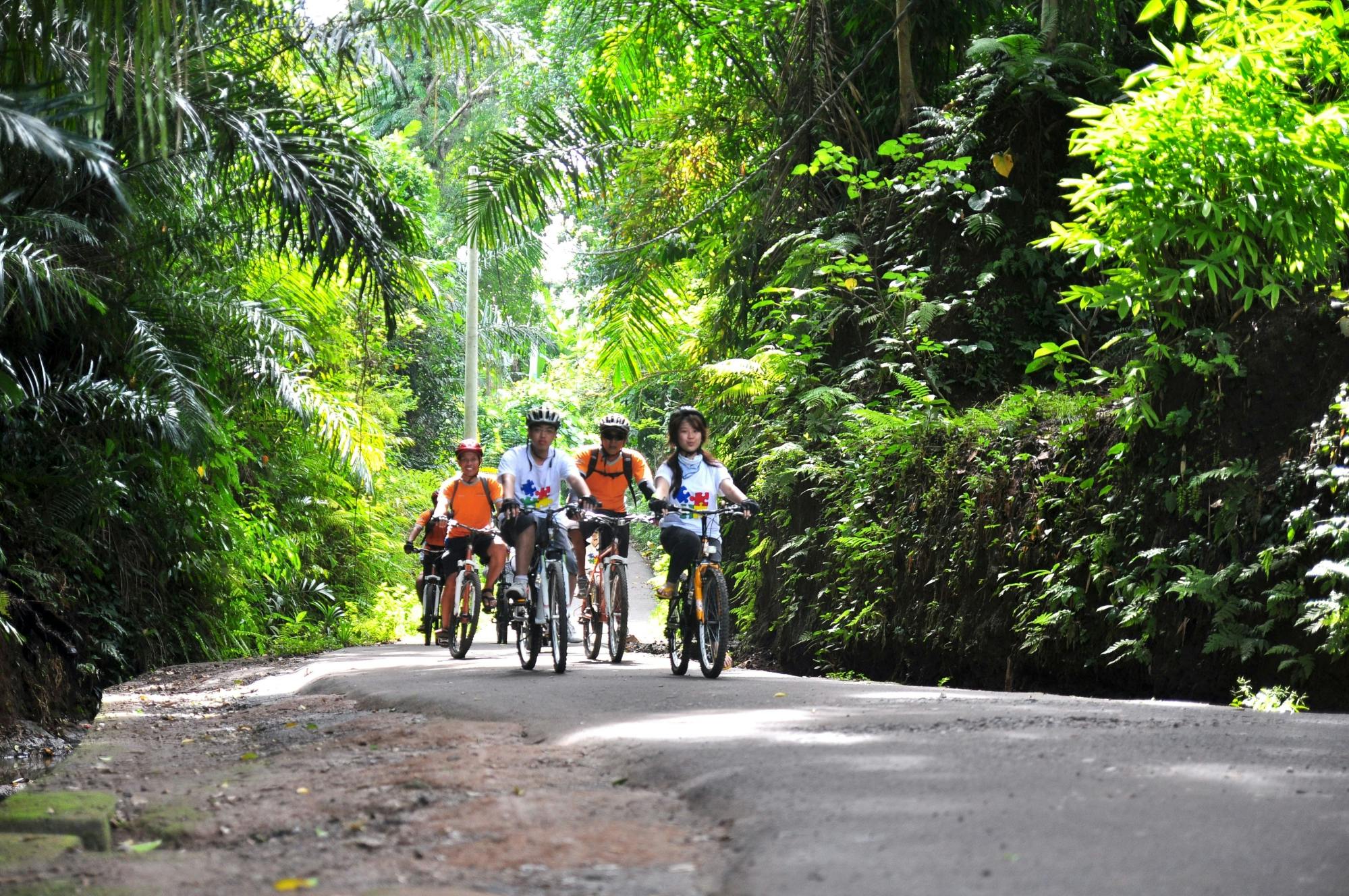 Radtour durch die Landschaft von Ubud