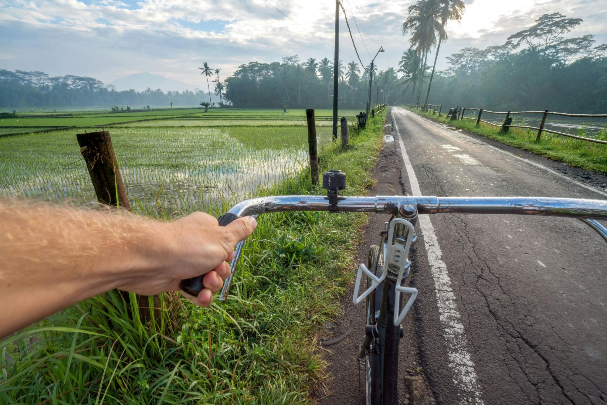 Ubud Countryside E-Bike Tour by Green Bikes