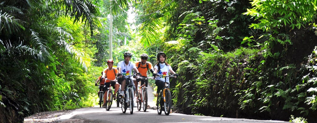 Ubud countryside cycling tour