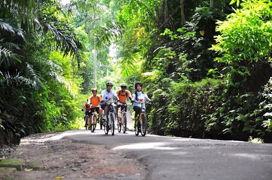 Passeio de bicicleta pelo interior de Ubud