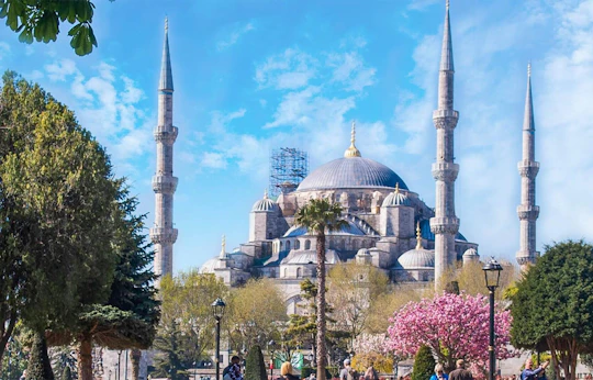 Istanbul Blue Mosque guided tour