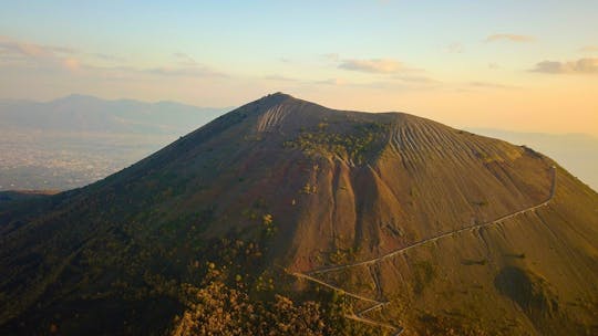 Mount Vesuvius Entry Ticket with Shuttle Service and Audio Guide