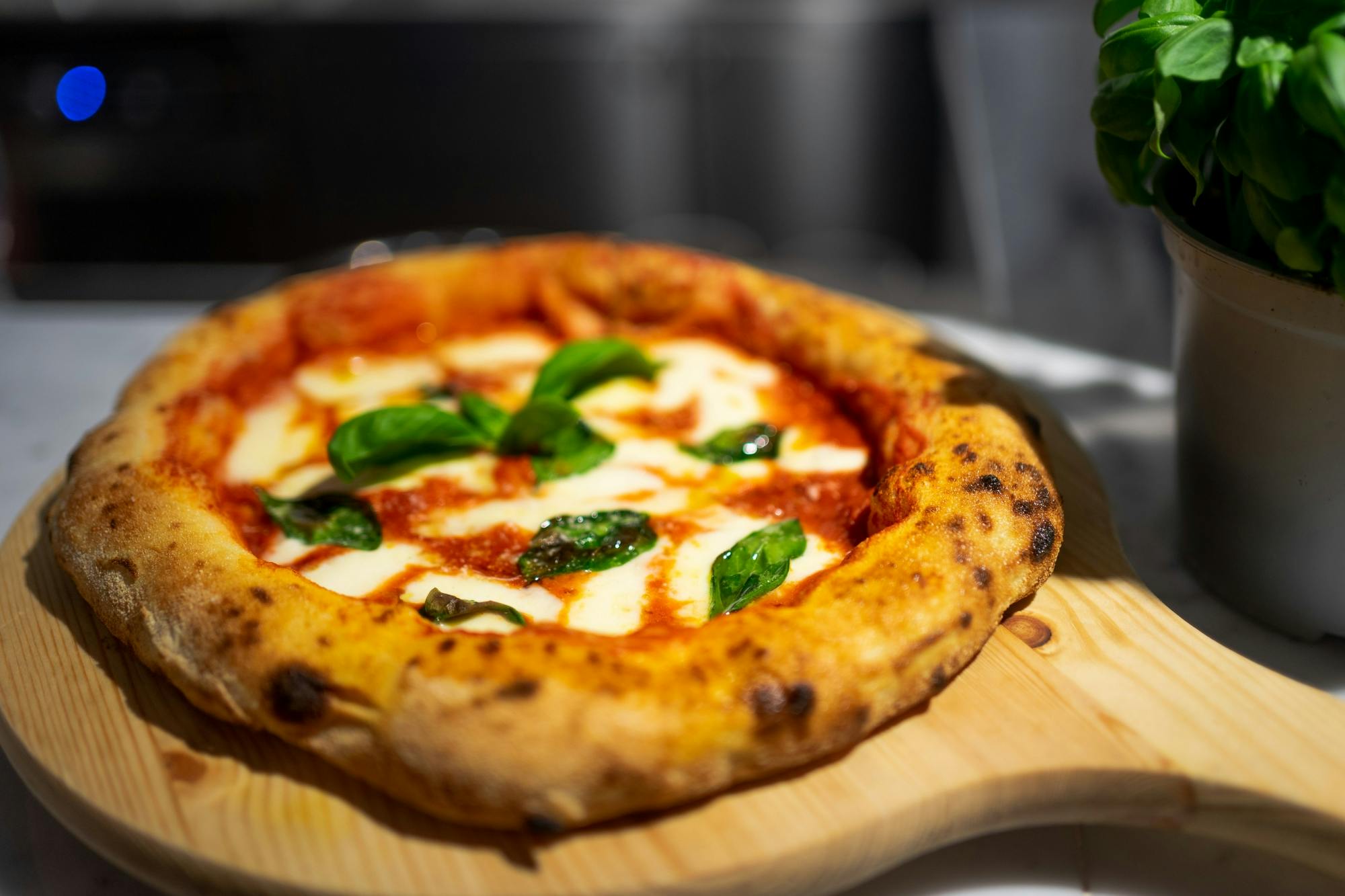 3-Hour Pizza and Gelato Cooking Class in the Heart of Rome