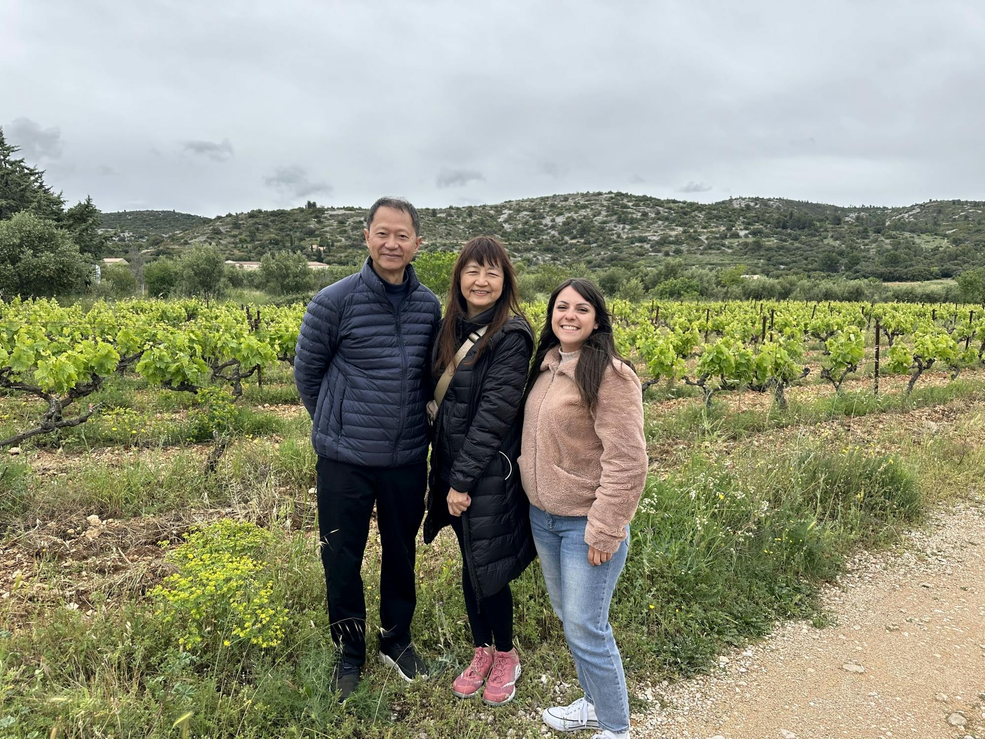 Visita guiada de meio dia em microônibus com vinícola e cavernas em Terrasses du Larzac