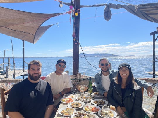 Tour di mezza giornata in minibus a Picpoul de Pinet con degustazione di ostriche e vini