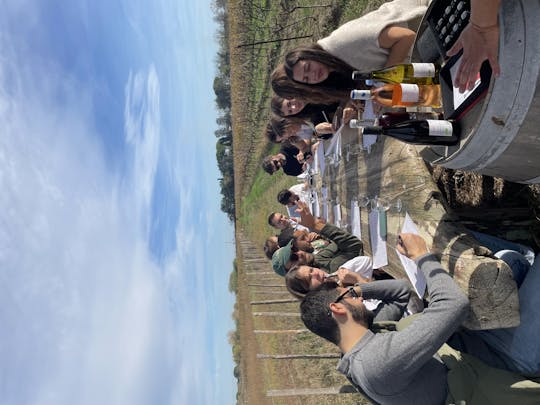 Tour di un giorno intero in minibus a Sable de Camargue con pranzo e degustazioni