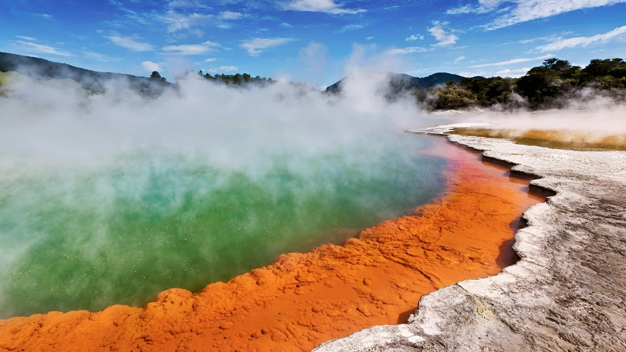 Excursion d'une journée au pays des merveilles géothermiques de Wai-O-Tapu et à Rotorua au départ d'Auckland