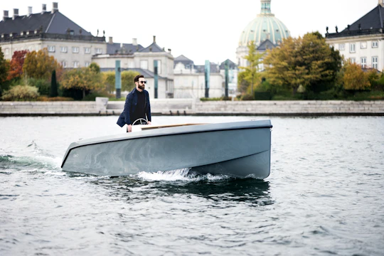 1-hour Copenhagen private electric cruise with skipper