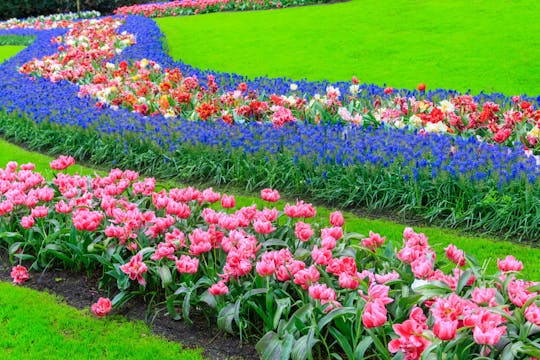 Cruzeiro no moinho de vento e acesso aos jardins de Keukenhof com guia de áudio