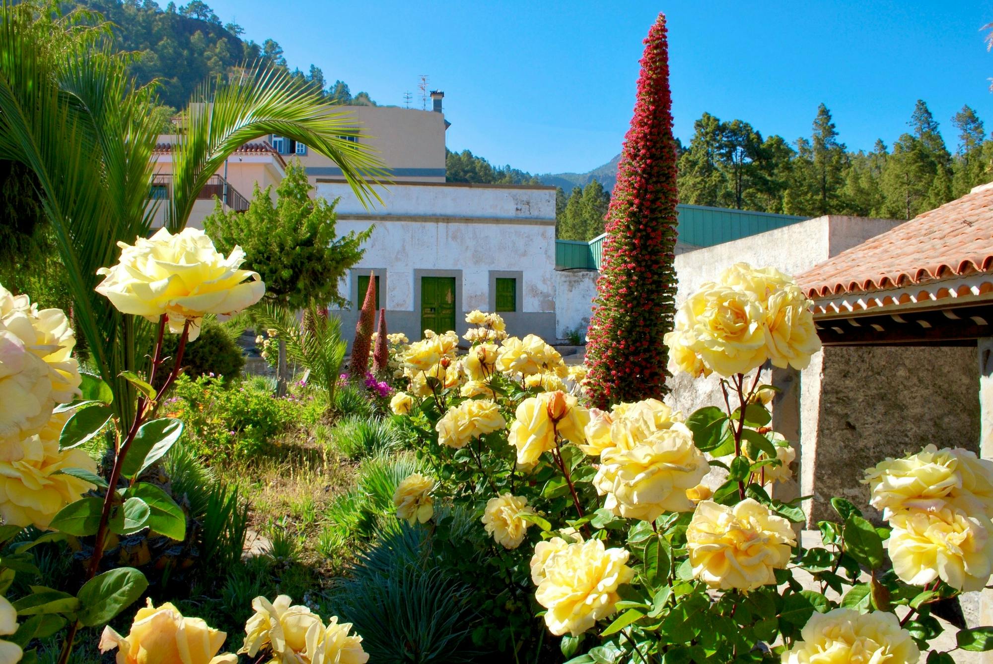 Southern Tenerife sightseeing tour with wine-tasting